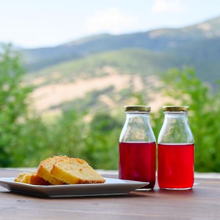 Kalavrita Botanica Hotel & Spa מראה חיצוני תמונה