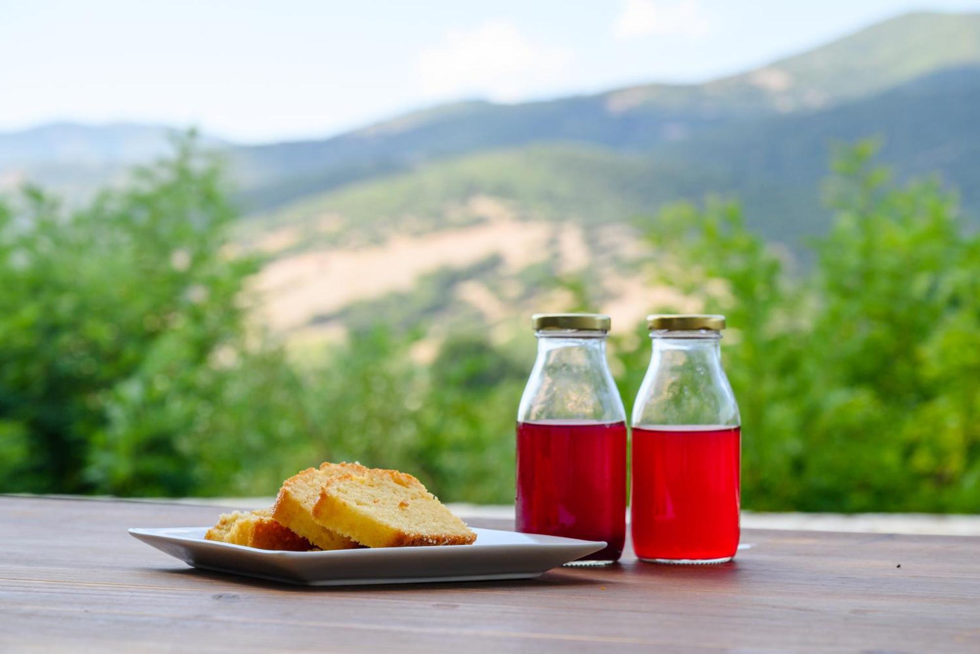 Kalavrita Botanica Hotel & Spa מראה חיצוני תמונה